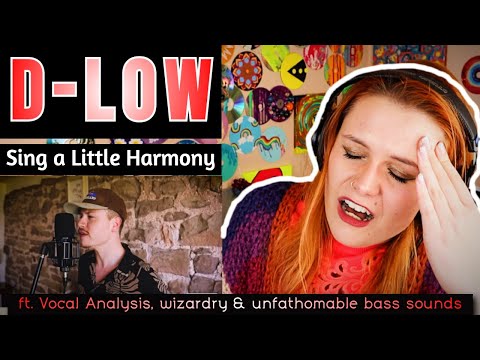 Видео: Реакция преподавателя вокала на BEATBOX! D LOW — «Sing A Little Harmony»