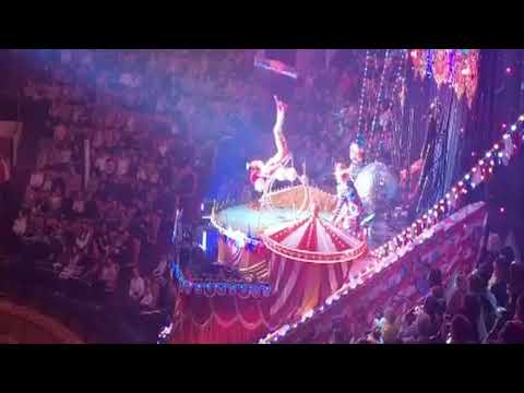 Видео: Ярославль  Цирк   Бурлеск