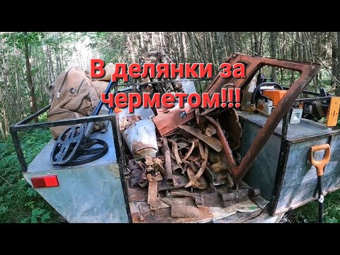 Видео: В лес за литыми плюшками.Металлокоп на каракате.