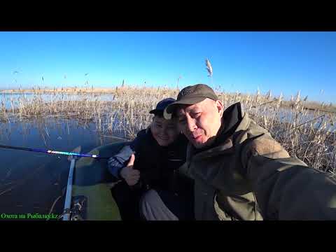 Видео: Рыбалка на карася с лодки – Открытие сезона на озере Майбалык!