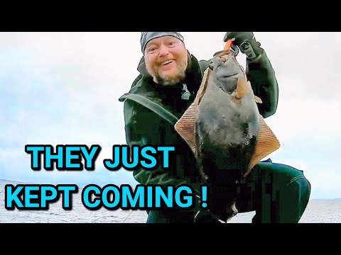 Видео: Рыба за рыбой! Они всё прибывали и прибывали: треска и палтус!