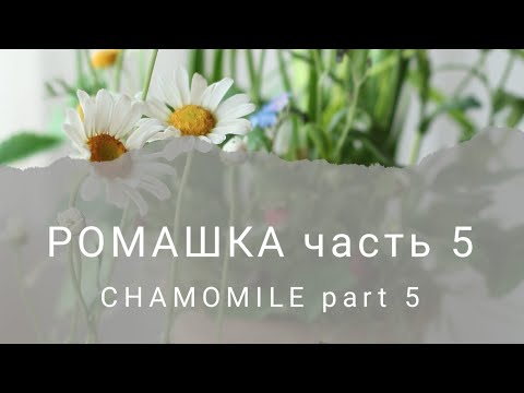 Видео: Ромашка из холодного фарфора. Часть 5. Chamomile made of cold porcelain.