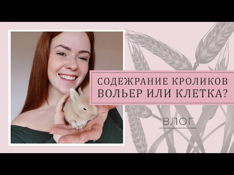 Видео: ВЛОГ. СОДЕРЖАНИЕ КРОЛИКОВ. ВОЛЬЕР ИЛИ КЛЕТКА?