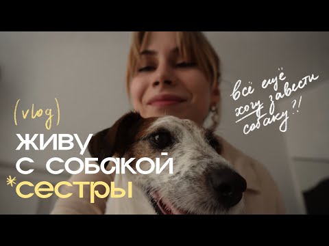 Видео: моя неделя с СОБАКОЙ 🐶🙌🏻