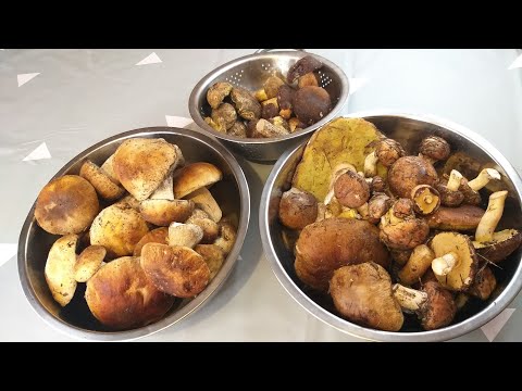 Видео: Как почистить и заморозить лесные грибы.