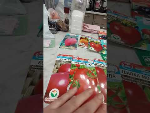 Видео: 17 ноября 2025 г.