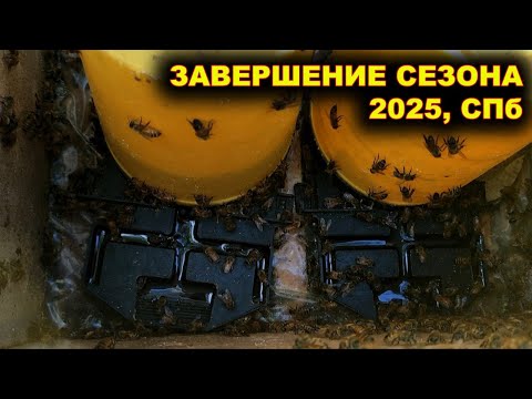 Видео: Завершение сезона 2025. Санкт-Петербург. Предварительные итоги. 