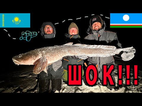 Видео: НАЛИМ ЛЮДОЕД ПОЙМАН в ЯКУТИИ. Первый лед 2023-2024