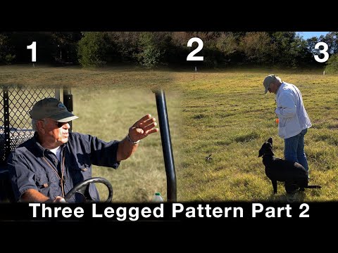 Видео: Выкройка «Трехногие» с Биллом Хиллманном, часть 2