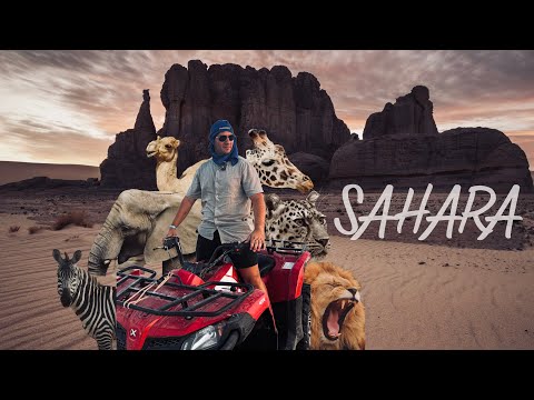 Видео: Карахме ATV в САХАРА -  нощуваме в ПУСТИНЯТА част 2