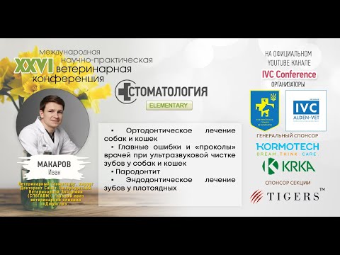 Видео: Эдодонтическое лечение зубов у плотоядных: Иван Макаров | IVC based 2020