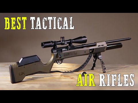 Видео: Пять самых мощных новых пневматических винтовок 2024 года