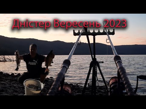 Видео: #рибалка #фідер #лящ #дністер  Рибалка на ляща на дністрі. Вересень.