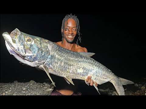 Видео: Эпическая ночная рыбалка: поймали огромного серебряного короля