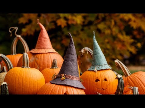 Видео: Выбираю дизайны для проектов