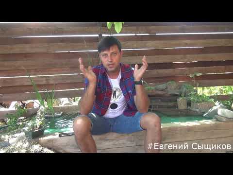 Видео: Нитчатка. Заблуждения. Ошибки. Проблемы прудов. Жестокая правда  часть 1