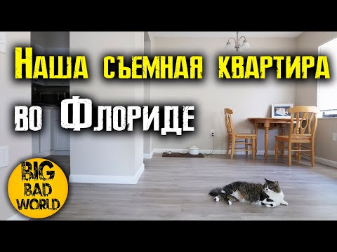 Видео: Съёмная квартира за 850 долларов в месяц в США, Флорида