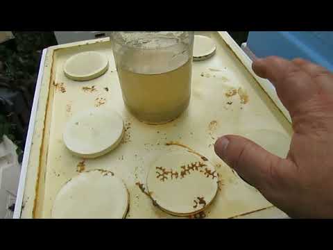 Видео: пчелы показали, что им не нужно летом, открытое сетчатое дно в жаркую погоду - часть 6