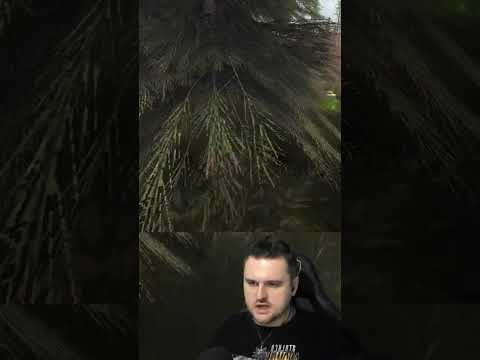 Видео: работайте только на кордоне