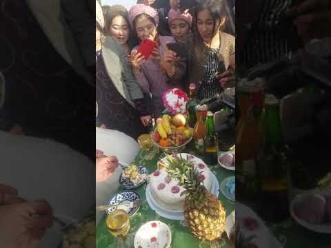 Видео: Туй пардабой назаров