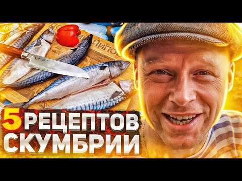 Видео: СКУМБРИЯ может удивить! 5 РЕЦЕПТОВ. Вот как нужно готовить рыбу # 229. ENG SUB.