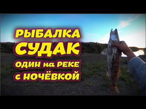 Видео: СУДАК на ЖИВЦА - ОДИН НА РЕКЕ - РЫБАЛКА с НОЧЁВКОЙ