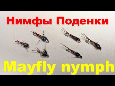 Видео: Нимфы Поденки Mayfly Nymph