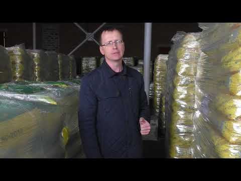 Видео: Как хранить семена подсолнечника и кукурузы перед посевом