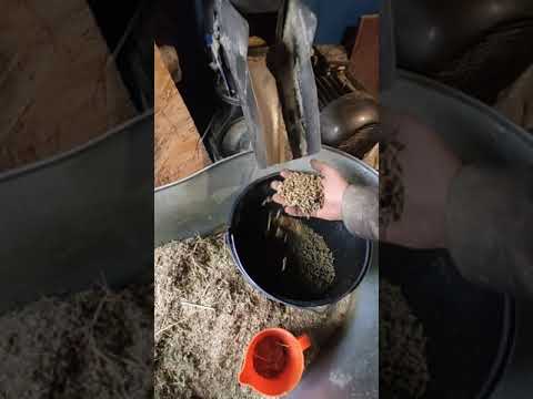 Видео: Грануляция корма для кролика