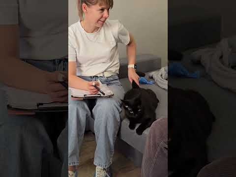 Видео: У кота проблемы с дыханием 