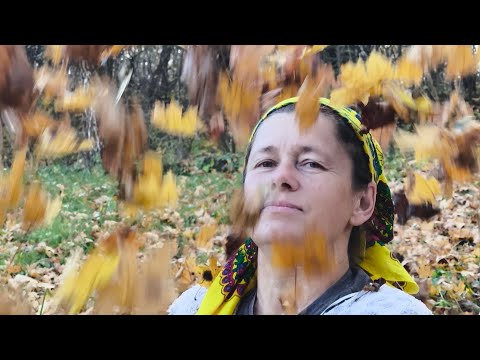 Видео: гарного ранку друзі ми в дорозі