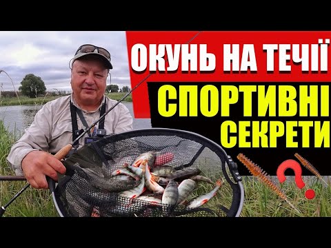 Видео: Техніка пошуку та лову окуня мікроджигом на річці. Приманка на окуня: розмір, колір, проводка 