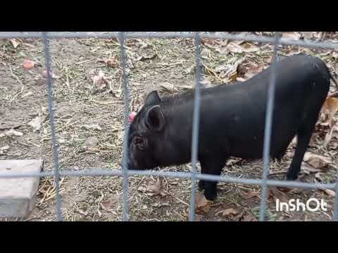 Видео: ТРУДОТЕРАПІЯ ДОБРЕ ДОПОМОГАЄ🫢 ЯКІСНЕ ЛІКУВАННЯ 