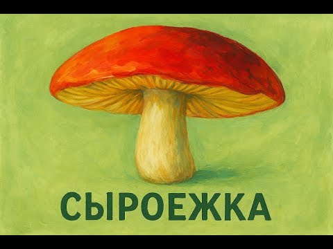 Видео: 🍄 Сыроежка — лесная красавица под алой шляпкой