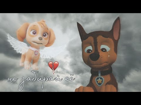 Видео: Гончик и Скай-Не забирай её