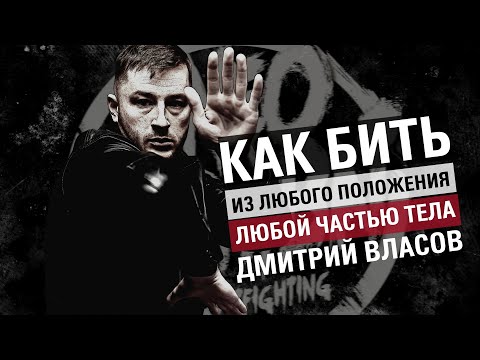 Видео: Как бить из любого положения любой частью тела. Дмитрий Власов.