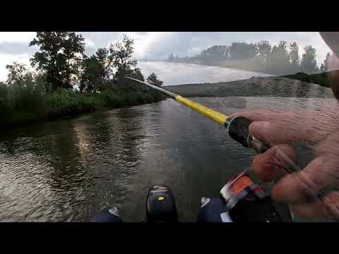 Видео: ПЕРВЫЙ ТРОФЕЙ В ЭТОМ ГОДУ ПОЙМАН Р.ЧУЛЫМ
