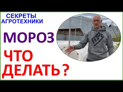 Видео: Заморозки. Жестокие и беспощадные. Пути спасения и что делать если защита не помогла.