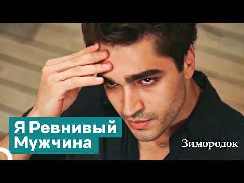 Видео: Шаги Завистливой Ссоры | Зимородок
