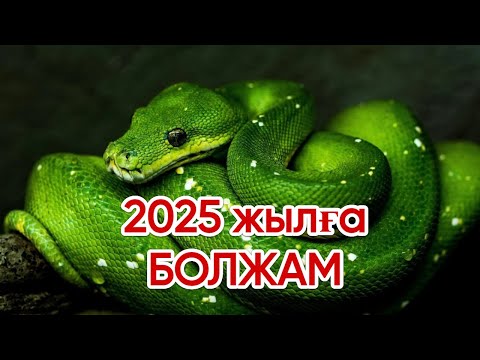 Видео: 2025 жылға болжам. Астрологтар не дейді?