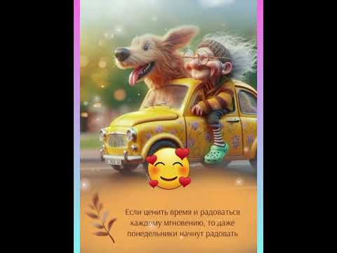 Видео: 🌞 Доброе утро!Хорошего дня всем 🤗