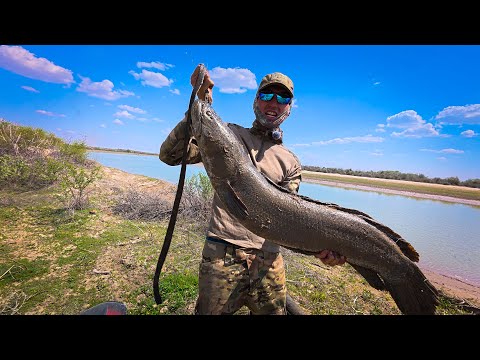 Видео: ӨМІРІМДЕГІ ЕҢ ҮЛКЕН БАЛЫҚ! РАГАТКА ЖӘНЕ 9,5 КГ ТРОФЕЙ!
