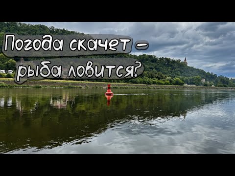 Видео: Рыбалка на реке Labe (Эльба) | Спиннинг Crazy Fish Nano Zero SE