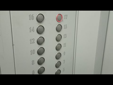 Видео: Два лифта МЛМ (2016г.в) V=1 м/с Q=400-630 кг (226) 