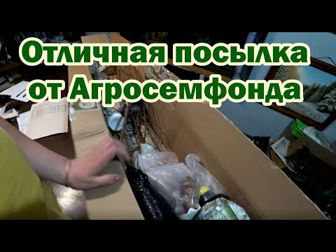 Видео: Обзор посылки от интернет-магазина Агросемфонда