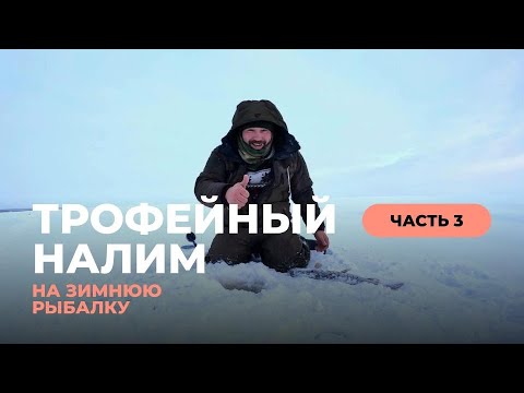 Видео: Трофейный налим. Озеро Воже радует.  Часть 3