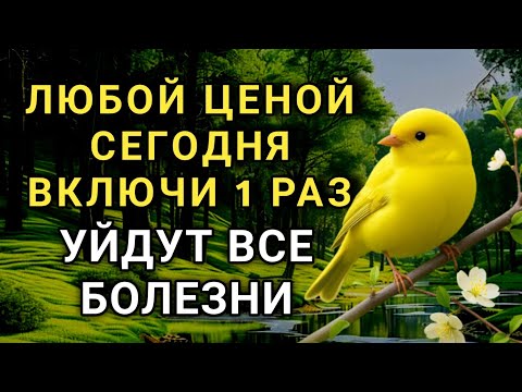 Видео: ☝️💖 ЛЮБОЙ ЦЕНОЙ ВКЛЮЧИ 1 РАЗ! УЙДУТ ВСЕ БОЛЕЗНИ! Сильнейшая молитва об исцелении  🤲🔑💯