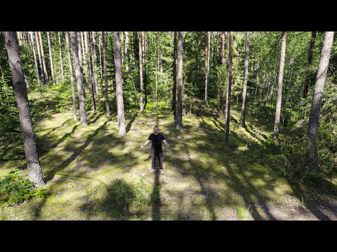 Видео: Как не заблудиться в Лесу  Рабочий способ.