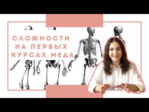 Видео: ТРУДНОСТИ НА ПЕРВЫХ КУРСАХ МЕДА