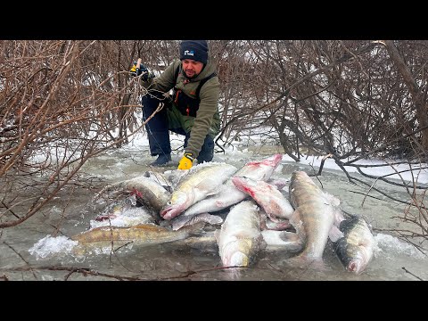 Видео: В ЭТОМ КОРЯЖНИКЕ ТОННЫ СУДАКА. ПЕРВЫЙ ЛЕД КАЗАХСТАН.